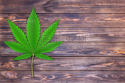 医用大麻或大麻大麻叶子。3d渲染