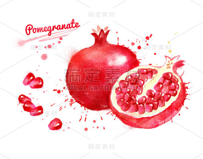 石榴水彩插图
