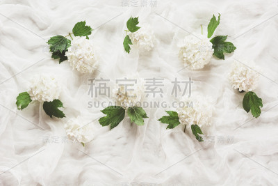 白色的背景来自纺织品和白色的荚花，玫瑰。质地,抽象的图案。