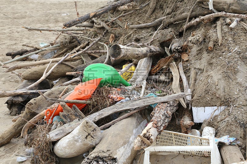 在海边的海滩上收集了碎片、枯木、泥土和塑料碎片