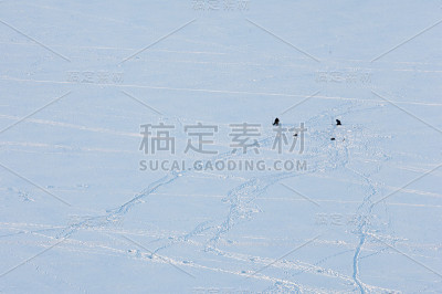 冬天,winter-tide,冬季