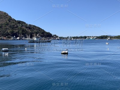 海鸟