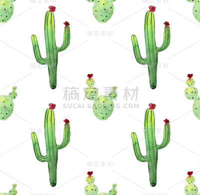水彩仙人掌无缝图案。色彩鲜艳的仙人掌多肉植物