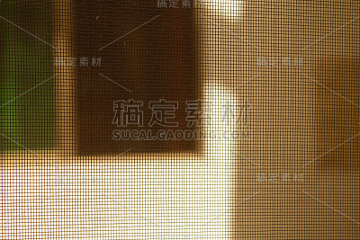 网络结构