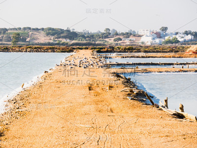 盐厂