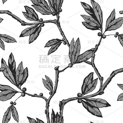无缝图案与花卉装饰