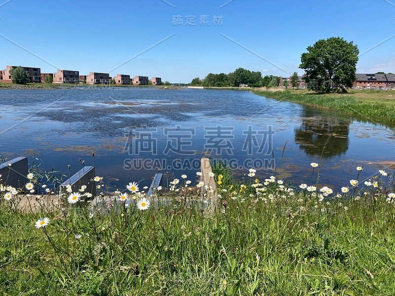 水的自然天际线和房子的背景