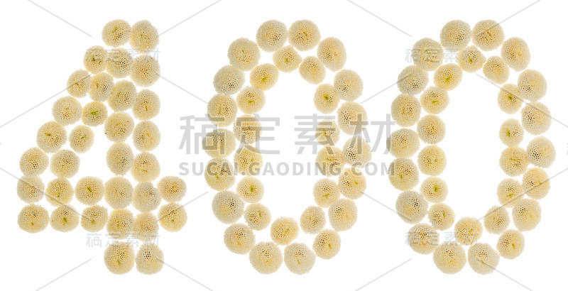 阿拉伯数字400,400，从奶油菊花，孤立在白色的背景