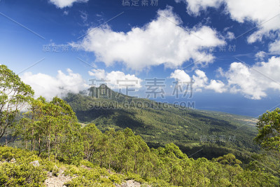 埃贡山的林木线