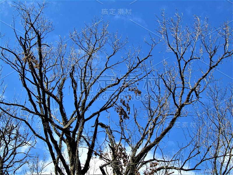 日本。3月。春天的天空。