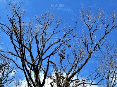 日本。3月。春天的天空。