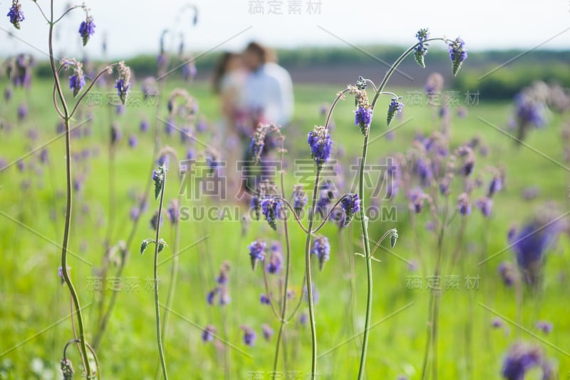 刚刚结婚的恩爱夫妻穿着婚纱在绿色的田野里的森林在夏天