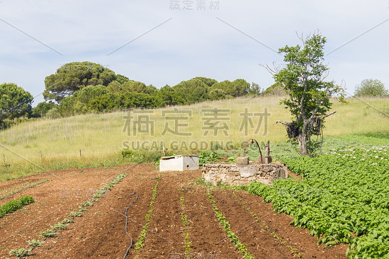 还有在圣地亚哥的一个农场