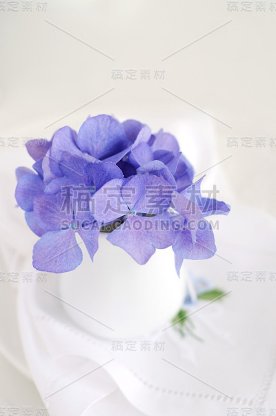 放置绣球花