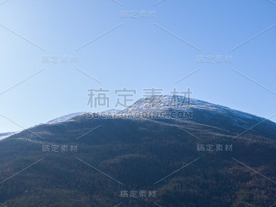 秋天的季节背景，鸟瞰郁郁葱葱的枫树森林显示树叶在秋季改变颜色在白山，新罕布什尔州