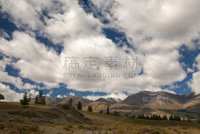 蒙古山谷草原树木和山脉