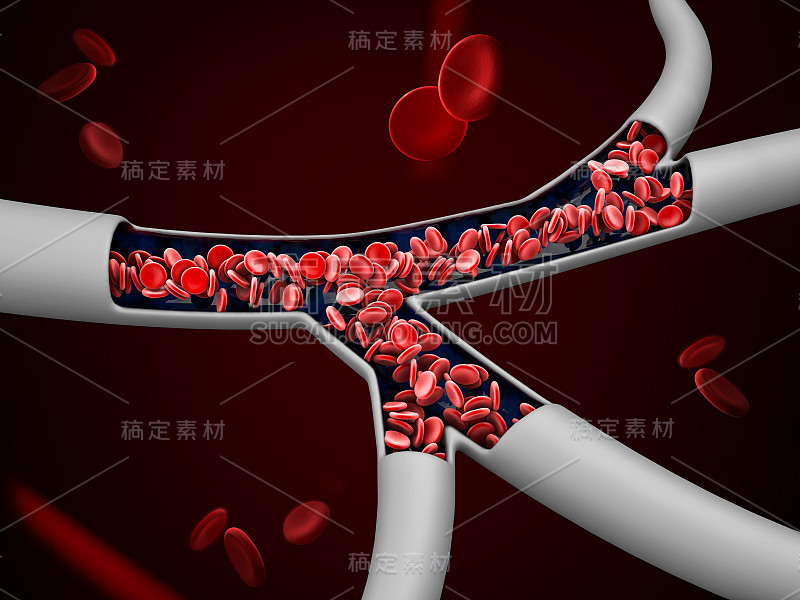 静脉中的红细胞的3d插图，包括剪切路径