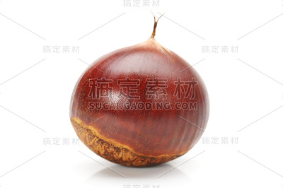 孤立在白色背景上的栗子