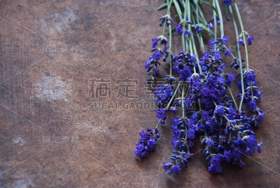 薰衣草花