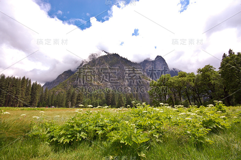 约塞米蒂山谷地板