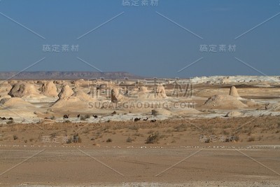 埃及撒哈拉沙漠法拉夫拉的白色沙漠