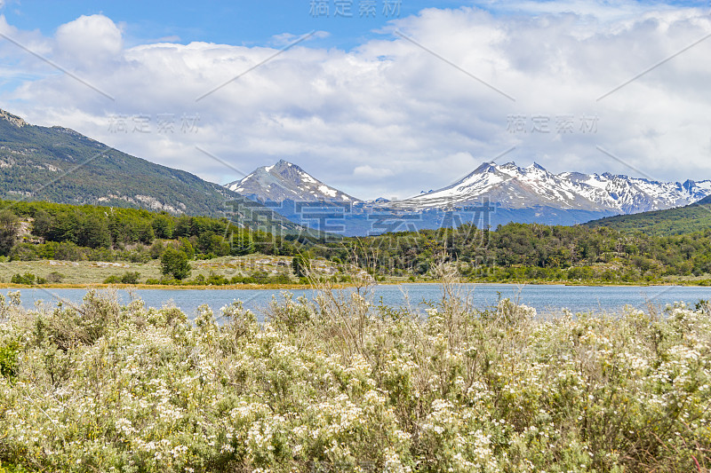 雪山森林和拉帕塔亚河，火地岛国家公园