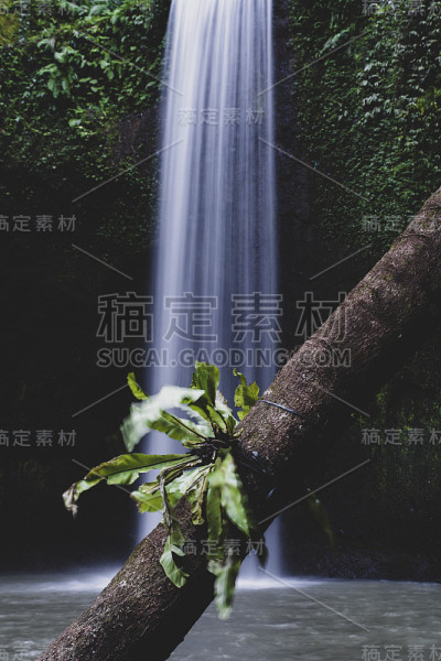 蒂布马纳瀑布