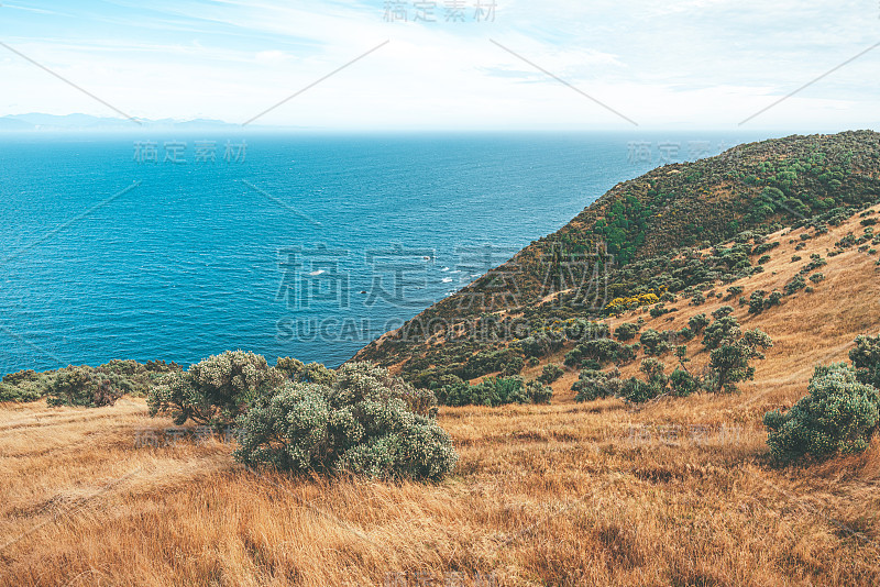 新西兰惠灵顿马卡拉海滩的风景