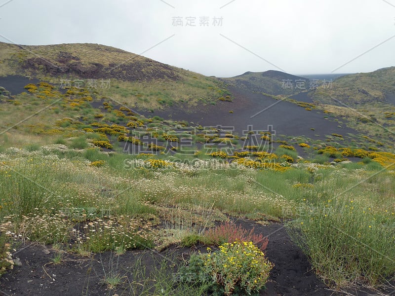 西西里岛埃特纳火山