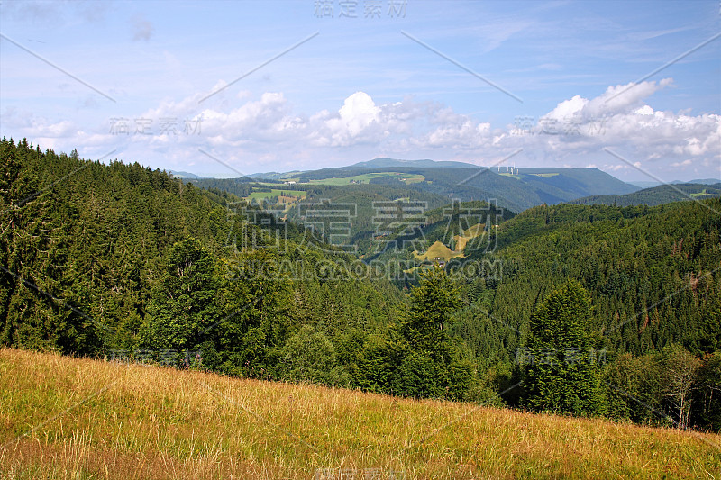 美丽的乡村景观在黑森林:绿色的夏季山谷与森林，田野和老房子在德国