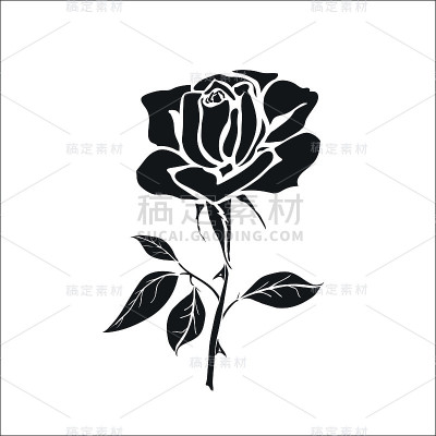 轮廓的玫瑰