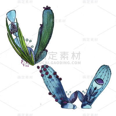 V、W字母的形式为蓝色的仙人掌，绿色的生态英文字母插图在白色的背景上