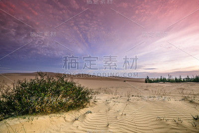 沙丘上的黎明