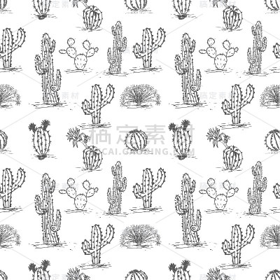 cactus1准备好了