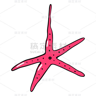 海星。矢量插图卡通风格。可用作贴纸、贴花、装饰儿童的房间。在白色背景上隔离