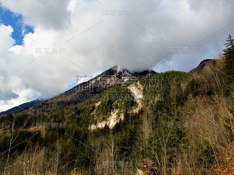 森林覆盖的斜坡卡拉万克山的风景