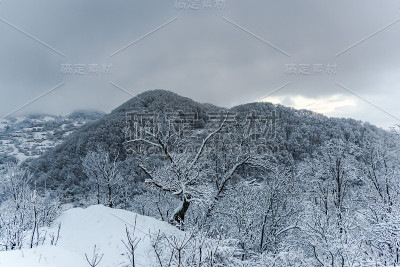 冬天的风景