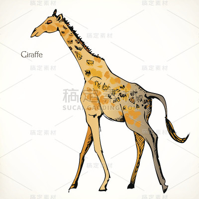 长颈鹿,矢量插图