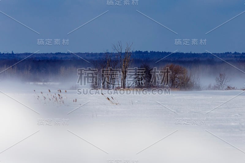 加拿大北部的暴风雪