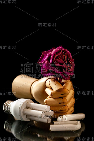 节能灯泡。