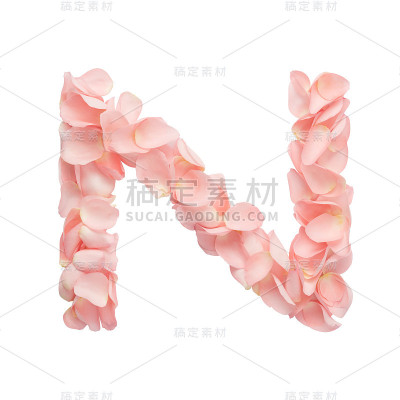 孤立在白色背景上的粉红色花的字母N