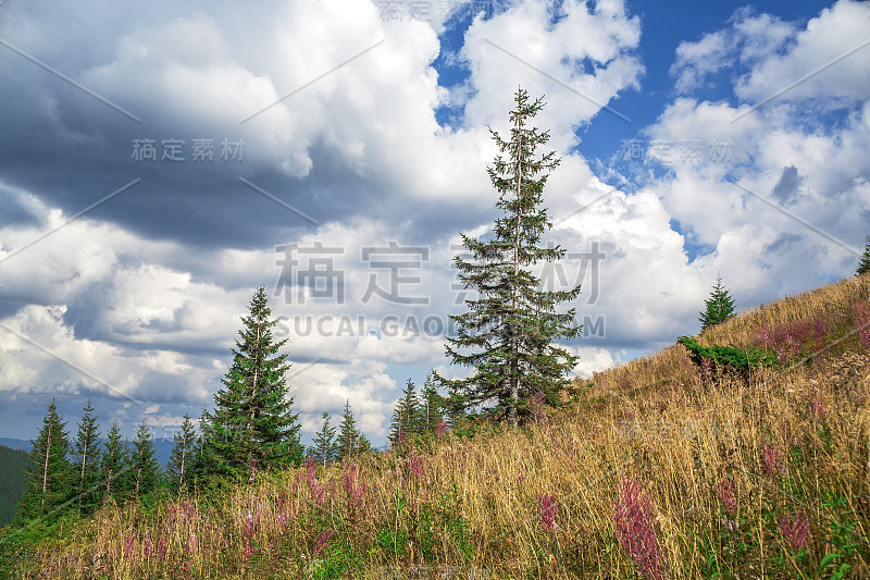 夏季山地景观多云天空