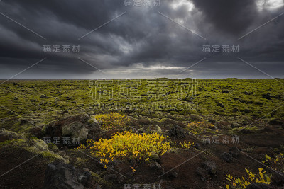 冰岛乡村的火山岩上覆盖着苔藓，乌云密布。
