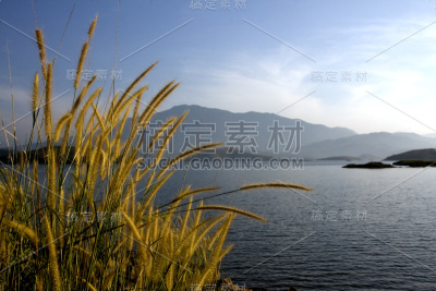 环山池塘