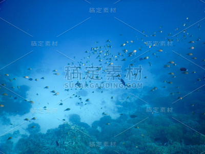 海的背景