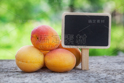 新鲜杏木绿