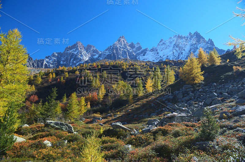 高山上的风景