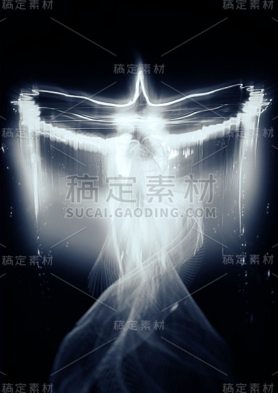 抽象的光闪着白色的鸟在黑暗中拍打