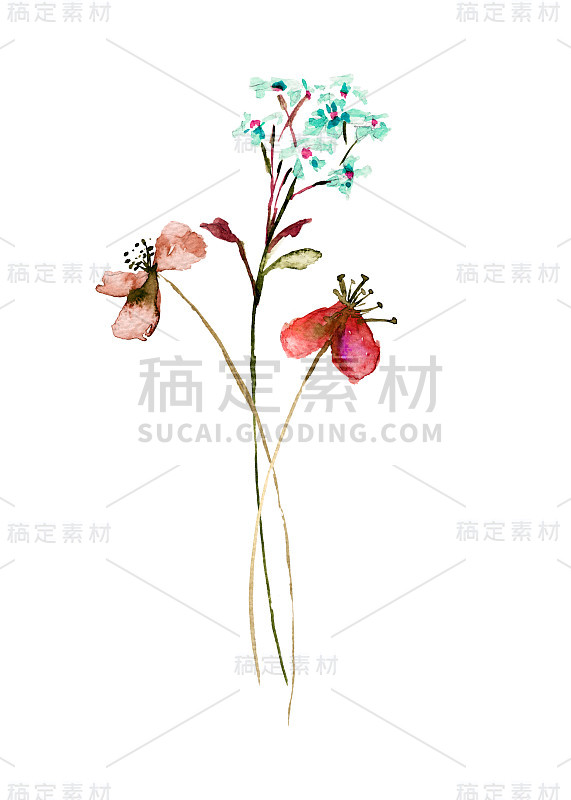 程式化的花水彩插图