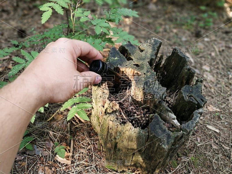 地理寻宝活动寻宝游戏